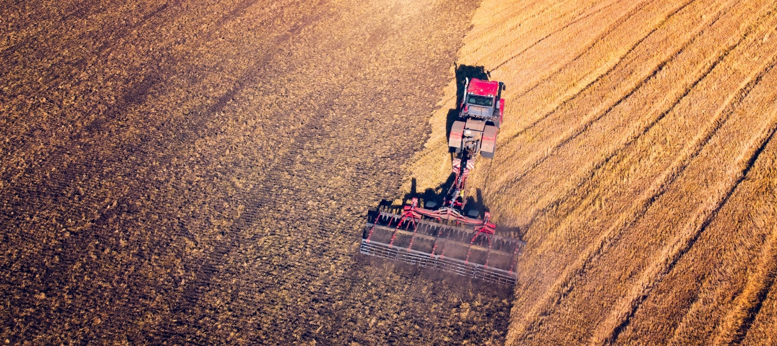 Itens a serem analisados antes da compra e venda de uma fazenda