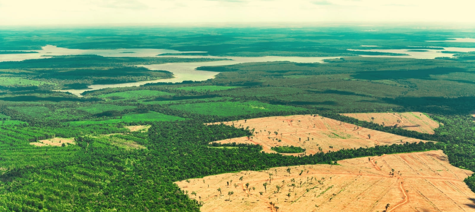 Estudo Ambiental na Compra e Venda de Fazenda
