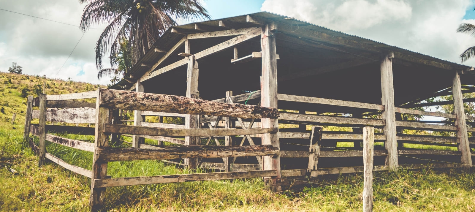 Diagnóstico Estrutural de Fazenda