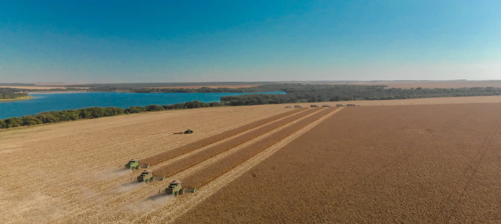 Compra de Fazenda para Investimento no MT